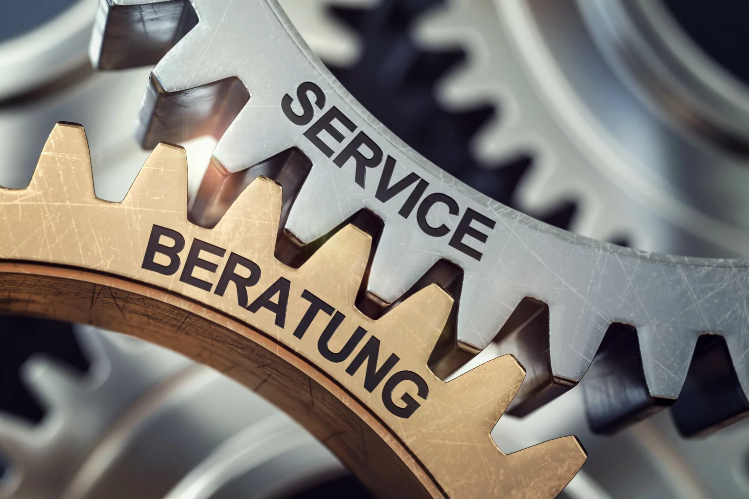 3d Zahnräder Service und Beratung